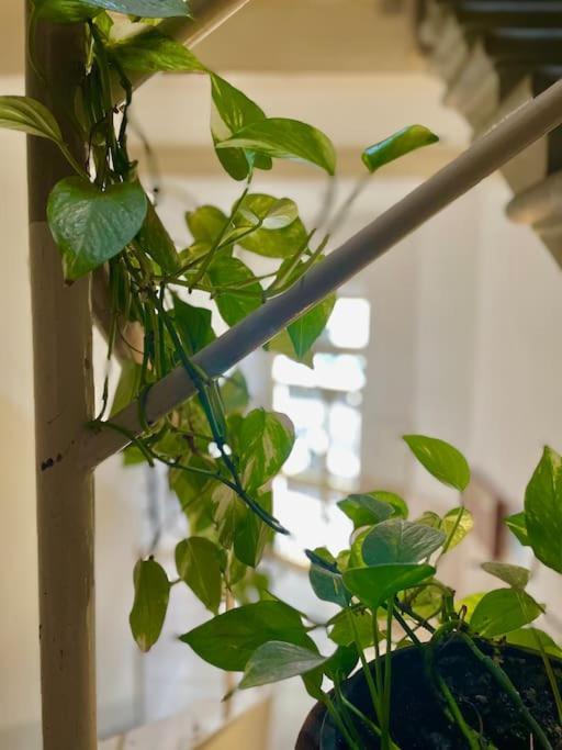 Apartamento San Iacopino *
